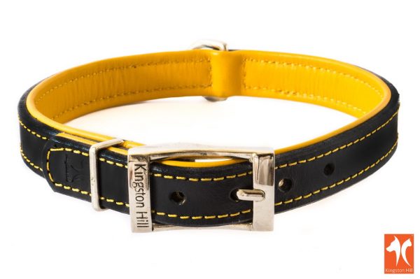 yellow dog collar