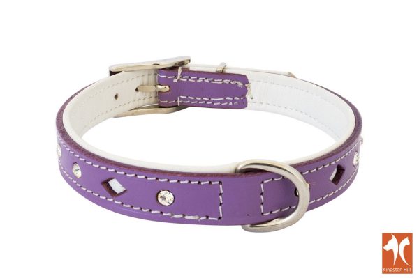 purple leather collar