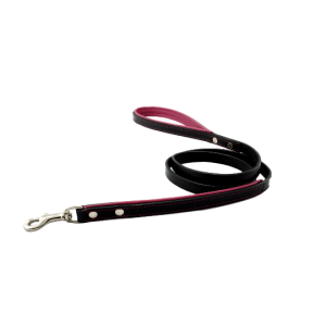 pink leather leash