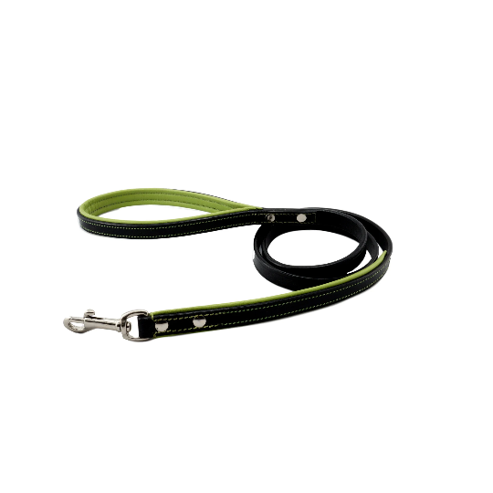 black & green leather dog leash