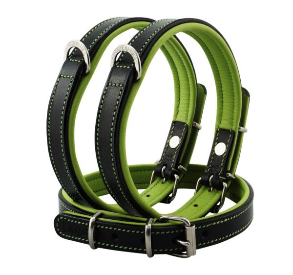 Black and green leather dog collar