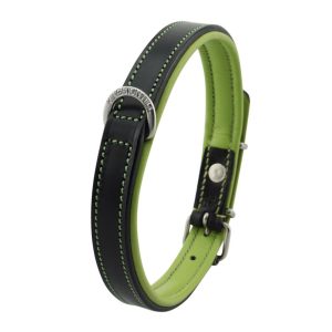black and green leather collar