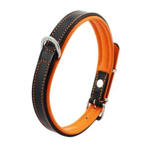 Black and orange leather dog collar