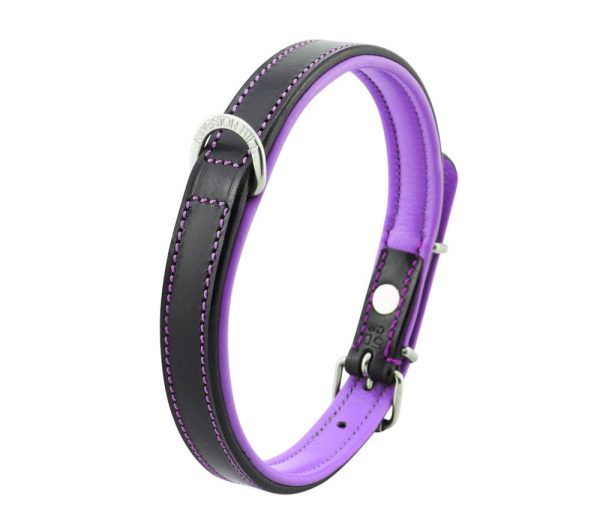Black and purple leather collar